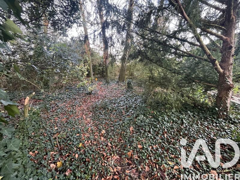 Maison de campagne - 81 m² - 4 pièces