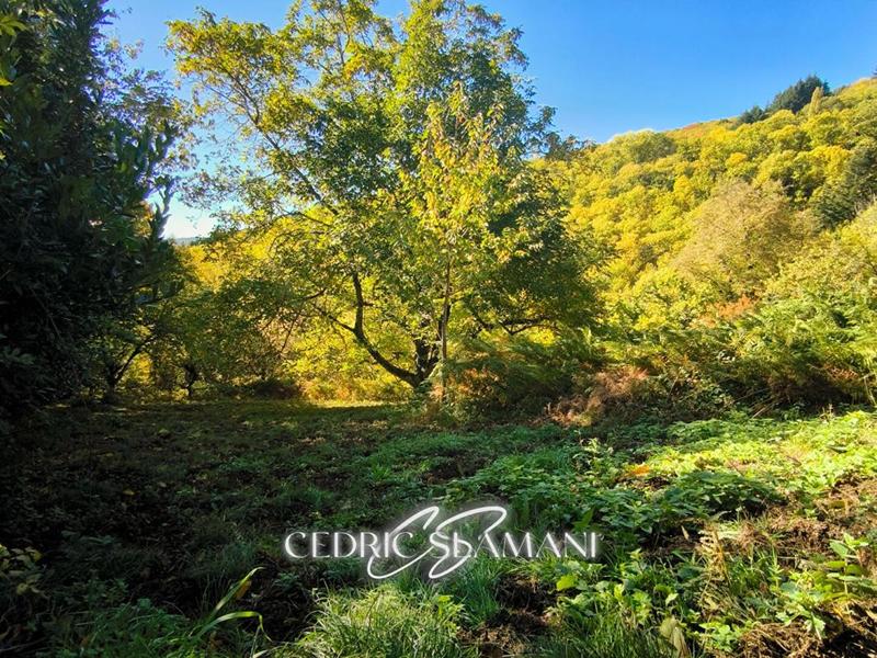 Terrain constructible - 1 729 m²