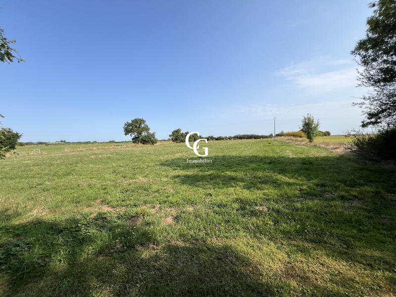 Maison ancienne - 216 m² - 7 pièces