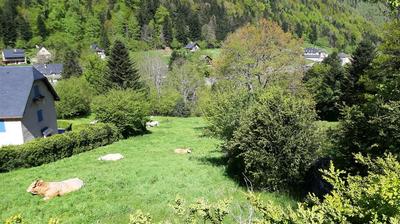 Terrain constructible - 11 657 m²