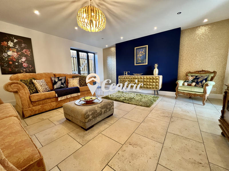 Maison ancienne - 341 m² - 11 pièces