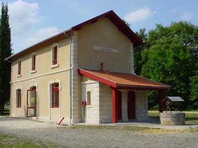 Balade sur : « la vie dans les souches »