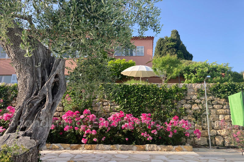 Maison - 250 m² - 9 pièces