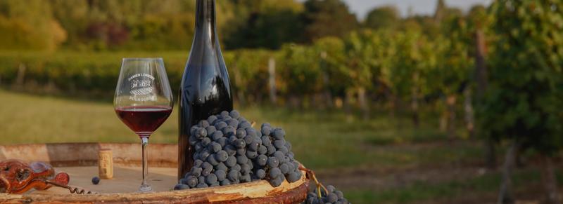 Damien Lorieux Viticulteur