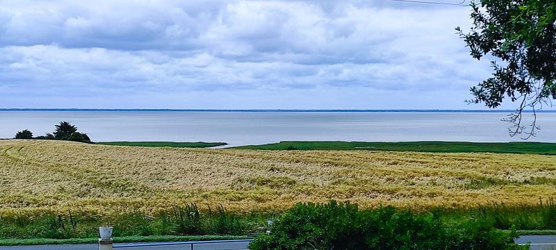 Villa - 154 m² - 5 pièces