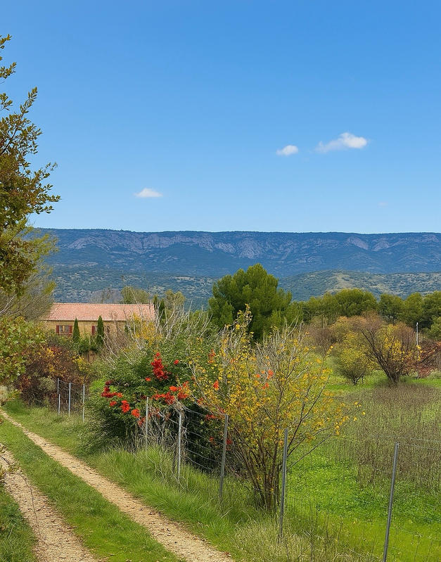 Mas - 250 m² - 7 pièces