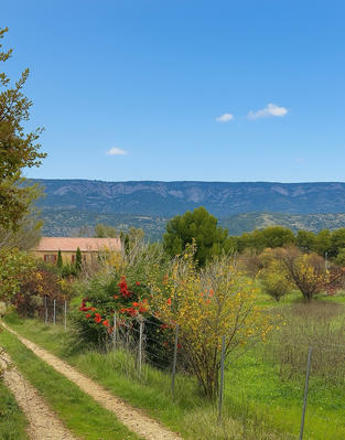 Mas - 250 m² - 7 pièces