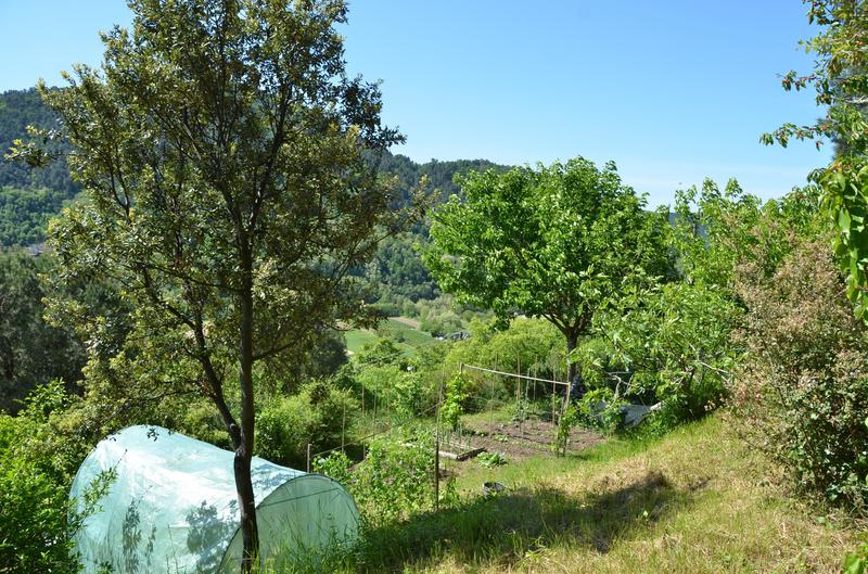 Maison en pierre - 102 m² - 5 pièces