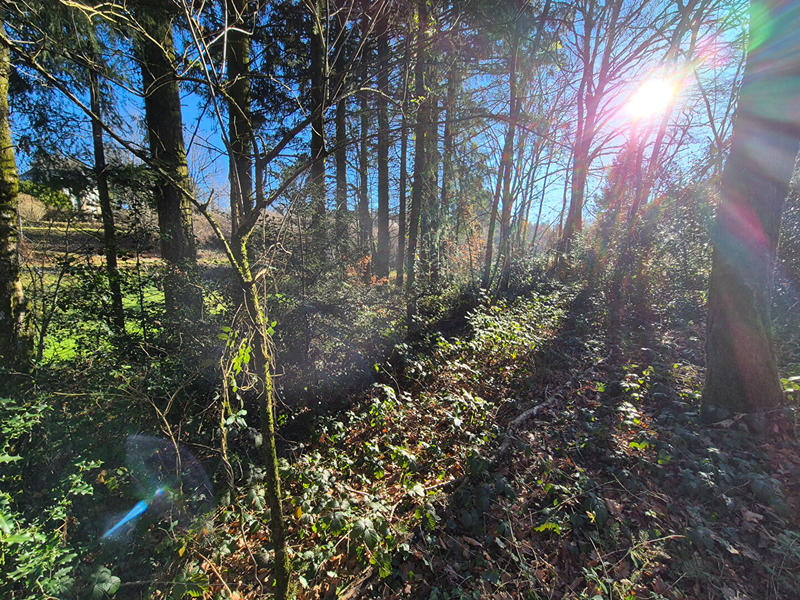 Maison - 33 m² - 2 pièces