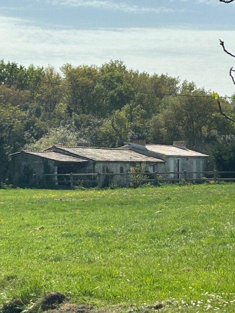 Maison - 800 m² - 30 pièces