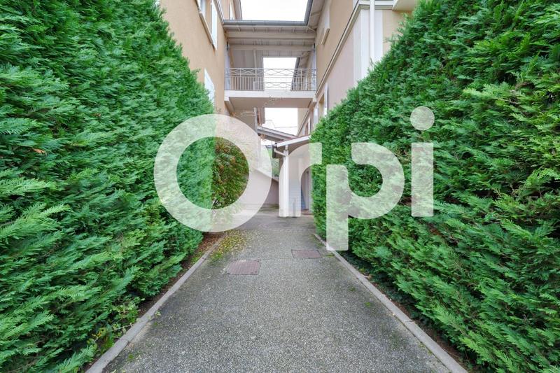 Appartement - 55 m² - 2 pièces