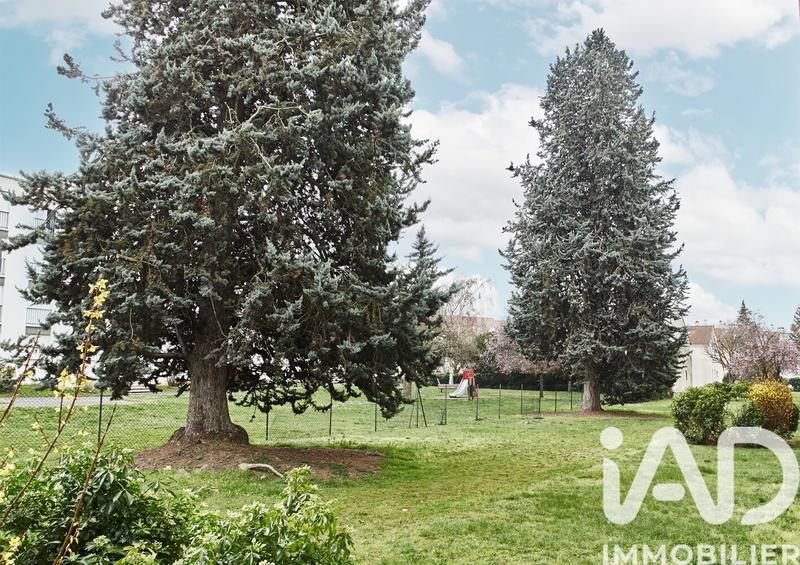 Appartement - 50 m² - 3 pièces