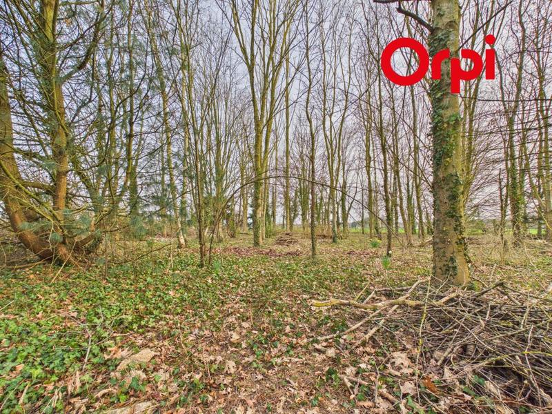 Maison - 172 m² - 5 pièces