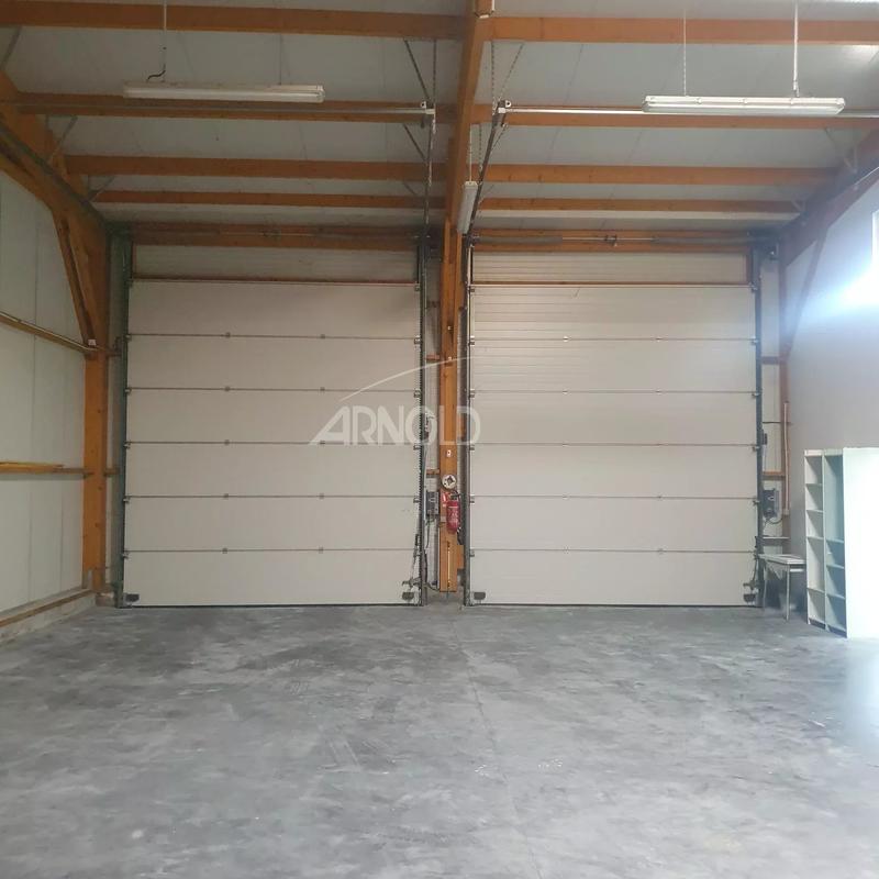 Entrepôt - 260 m² - 5 pièces