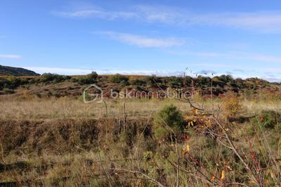 Terrain agricole - 13 807 m²