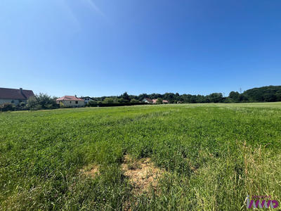 Terrain - 481 m²