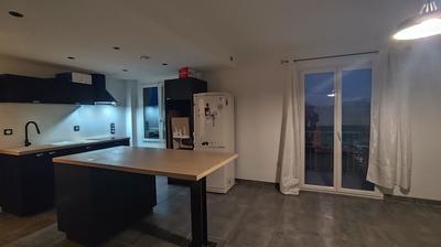 Penthouse - 48 m² - 2 pièces