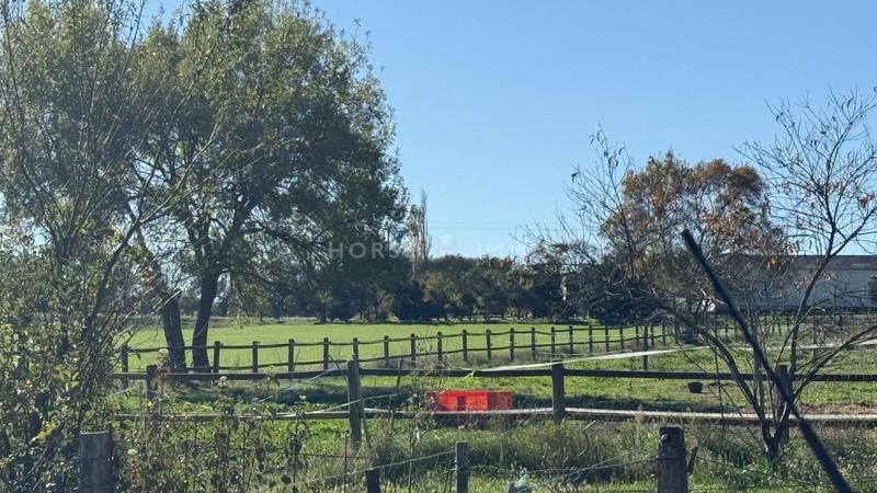 Mas - 210 m² - 6 pièces