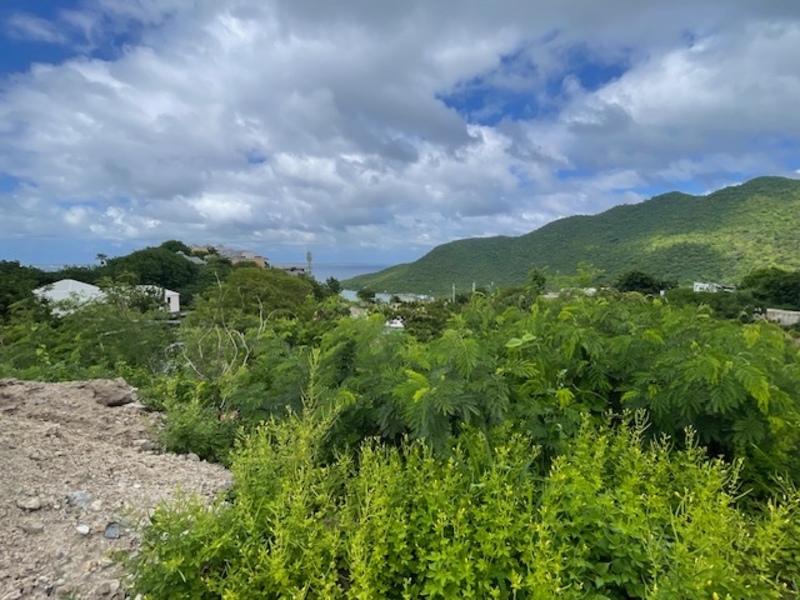 Terrain constructible - 1 504 m²