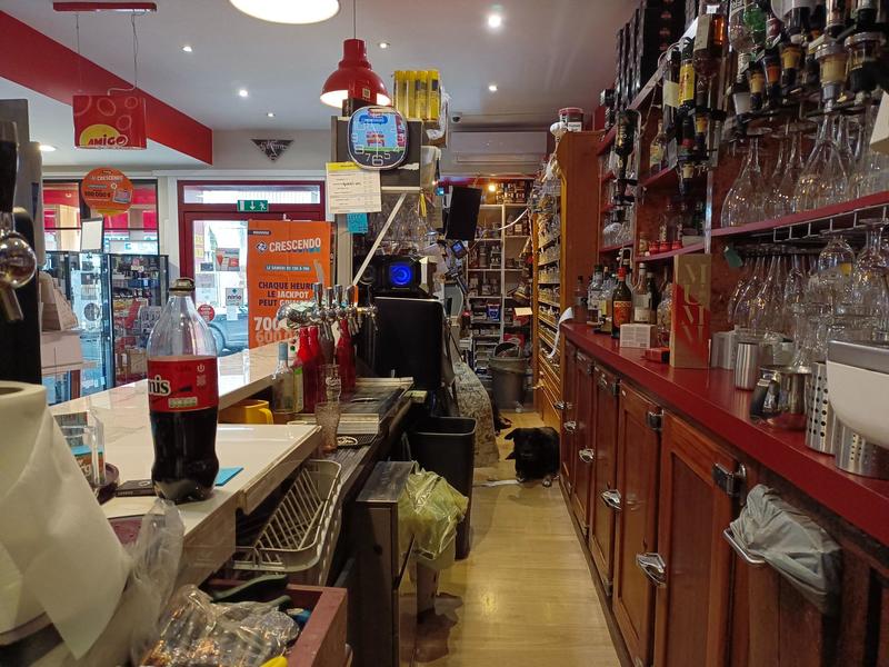 Local commercial - 245 m² - 10 pièces