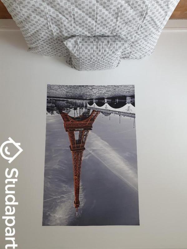 Chambre - 10 m² - 1 pièce