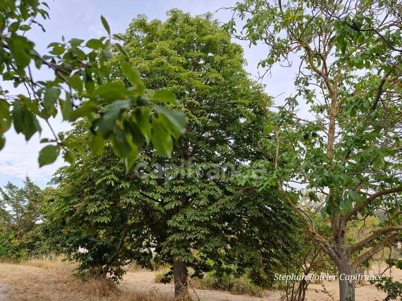 Maison - 119 m² - 5 pièces