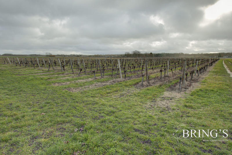 Maison - 187 m² - 7 pièces