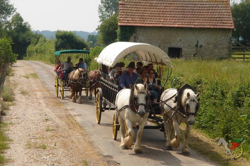 Balade attelée à Carteret