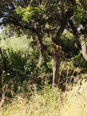 Maison - 81 m² - 4 pièces