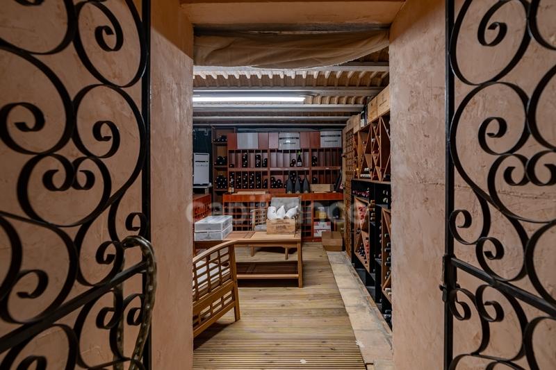 Maison - 450 m² - 11 pièces