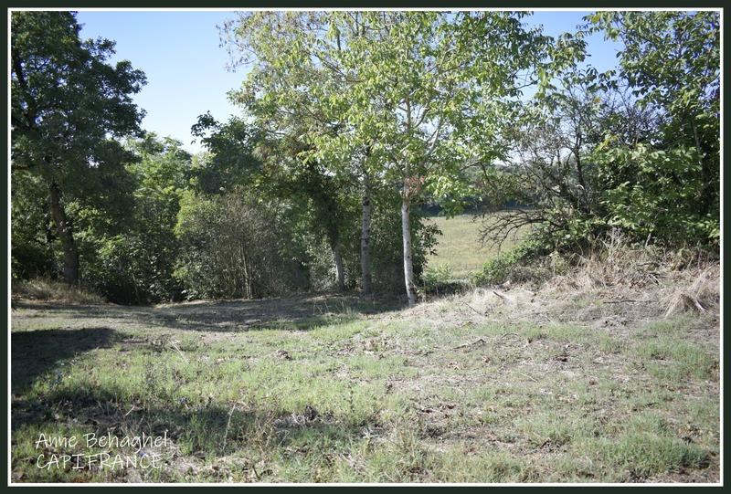 Maison de campagne - 170 m² - 7 pièces