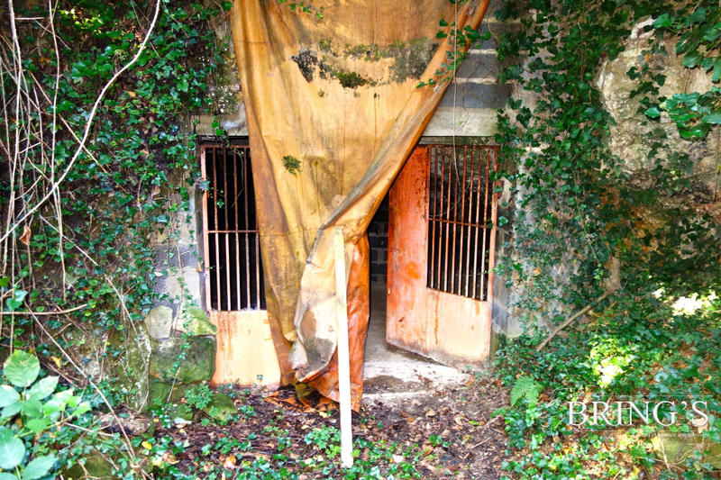 Mas - 300 m² - 5 pièces