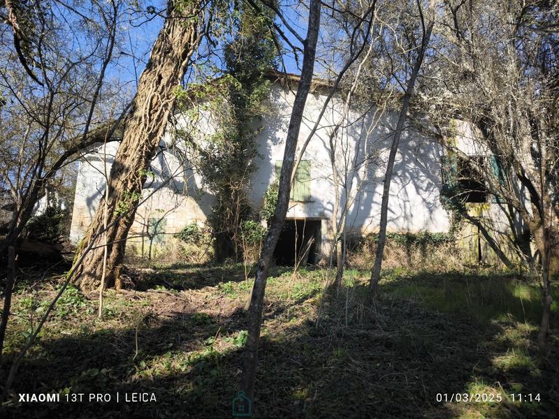 Maison de maîtres - 280 m² - 11 pièces