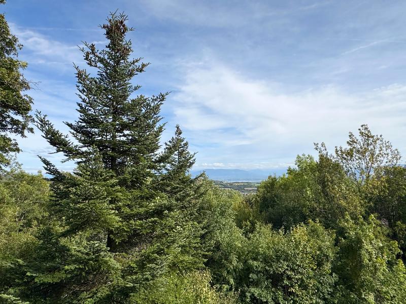 Maison - 179 m² - 6 pièces