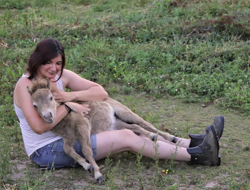 Rencontre avec les poulains miniatures