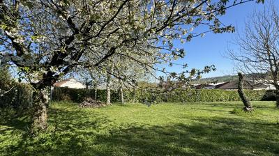 Terrain constructible - 1 200 m²