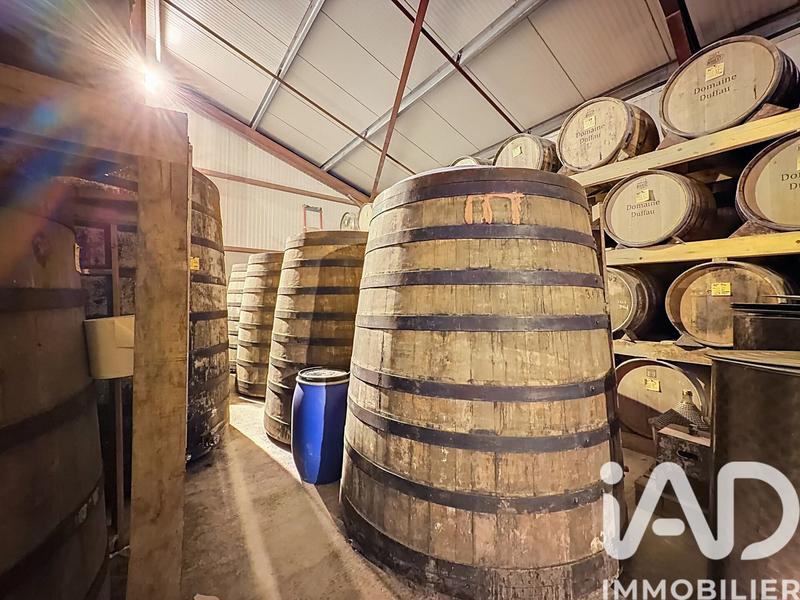 Maison - 290 m² - 6 pièces