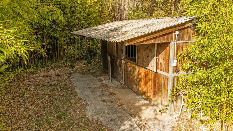 Maison ancienne - 300 m² - 8 pièces