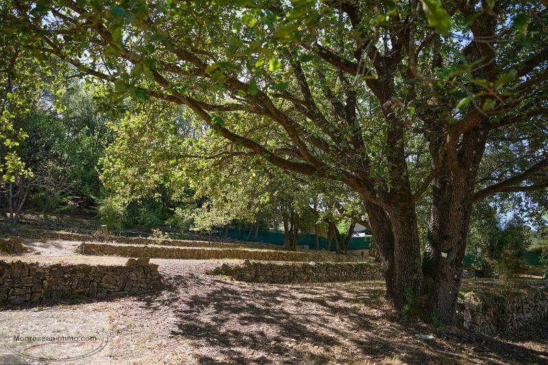 Maison - 700 m² - 10 pièces