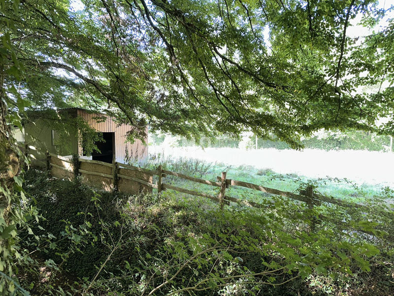 Terrain de loisirs - 25 088 m²