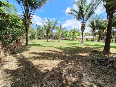 Terrain constructible - 15 221 m²