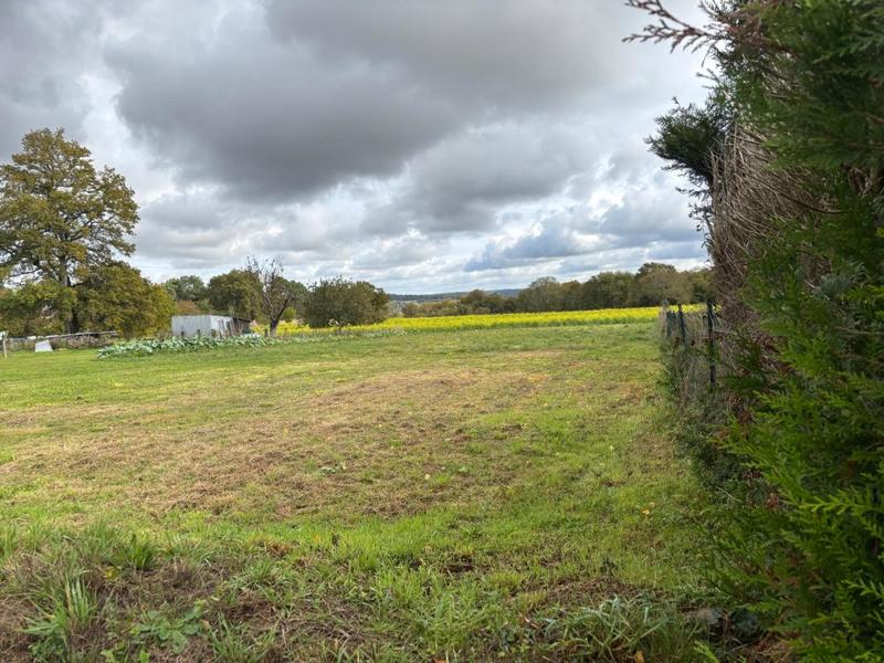 Terrain constructible - 1 356 m²