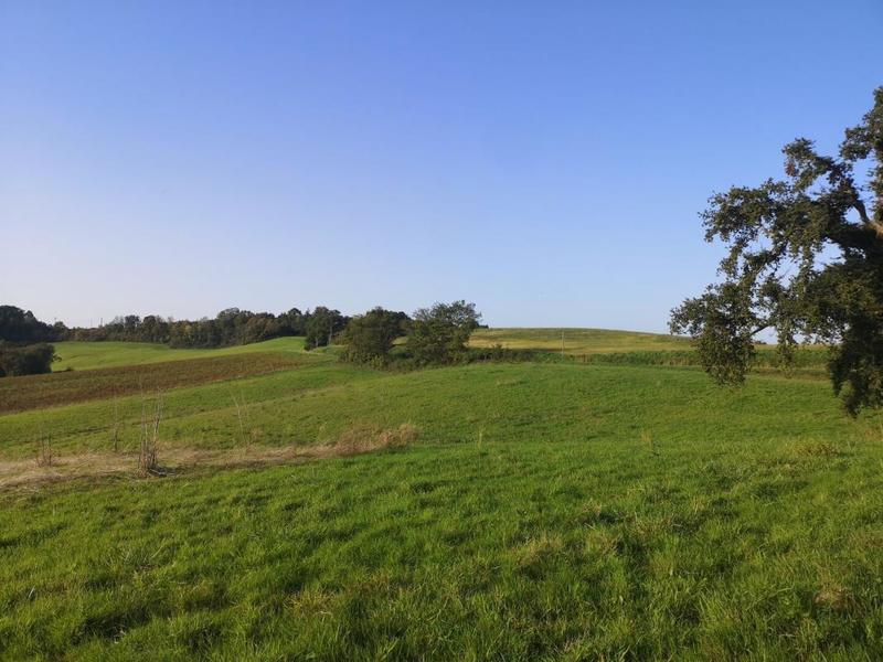 Propriété - 235 m² - 6 pièces