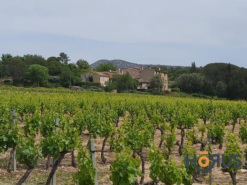 Viager - Maison traditionnelle - 77 m² - 3 pièces