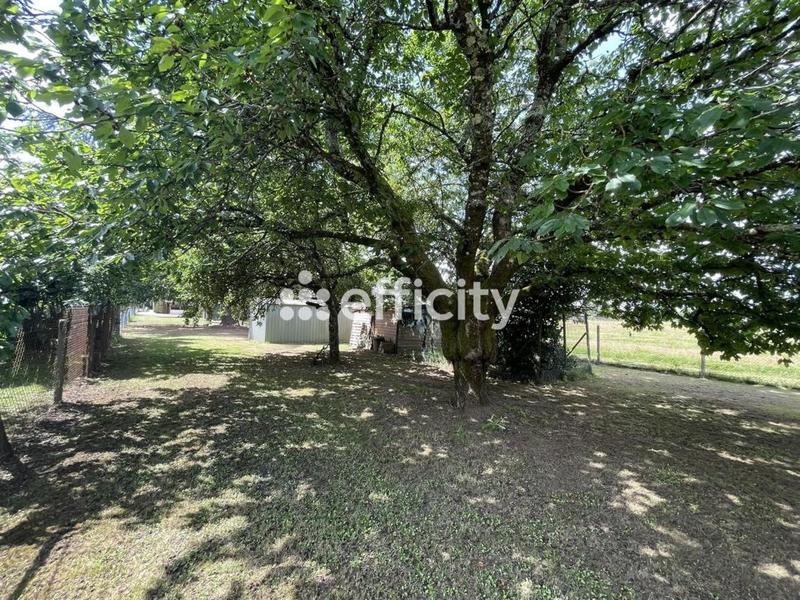 Maison - 160 m² - 5 pièces