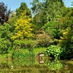 Arboretum la Tuillière