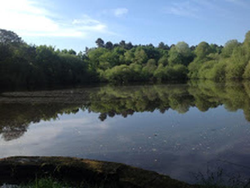 Manoir - 1 000 m² - 22 pièces