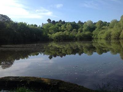 Manoir - 1 000 m² - 22 pièces