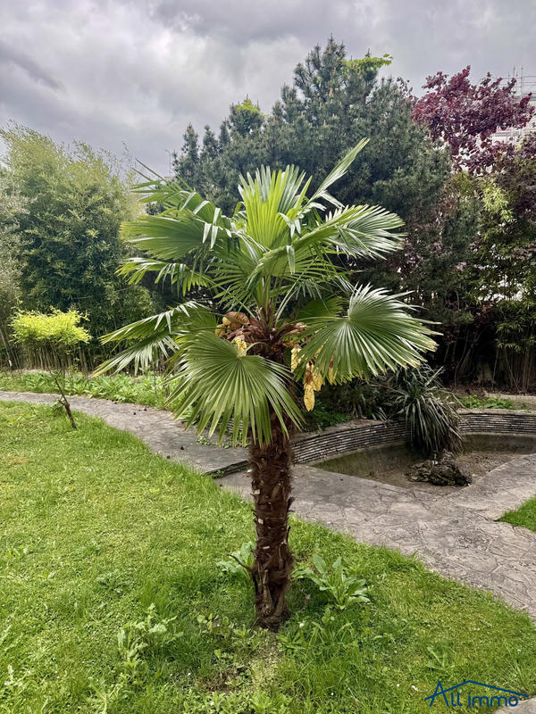 Maison ancienne - 150 m² - 7 pièces