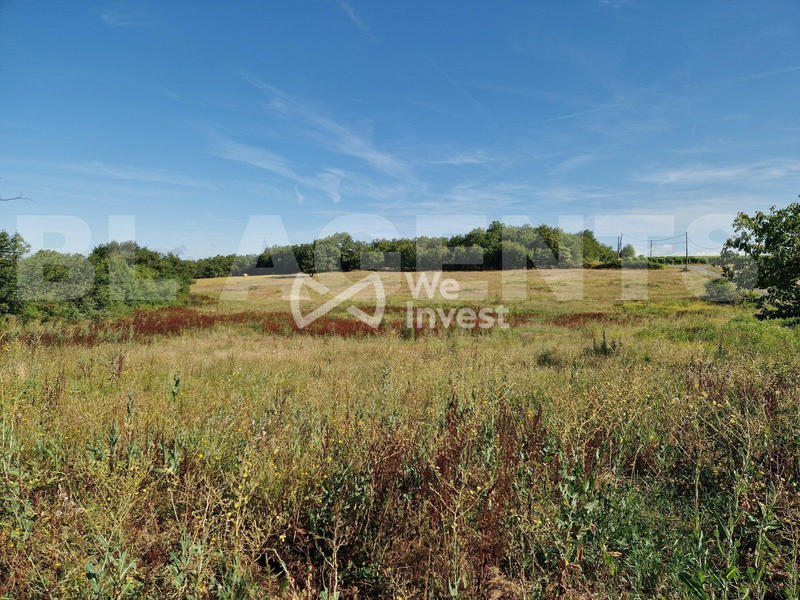 Terrain - 16 575 m²